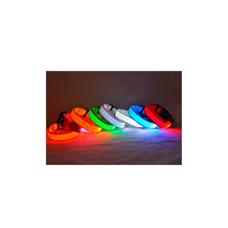 COLLAR MASCOTAS LED AZUL TALLA M BIWOND