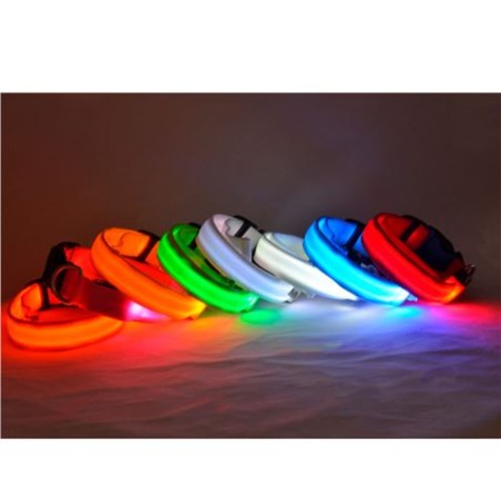 COLLAR MASCOTAS LED AZUL TALLA M BIWOND