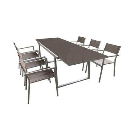 CONJUNTO ALUMINIO MESA EXTERIOR + 6 SILLAS CON BRAZOS