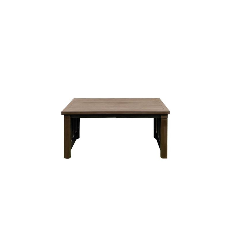 CONJUNTO DE JARDIN PALMA MARRON MESA...