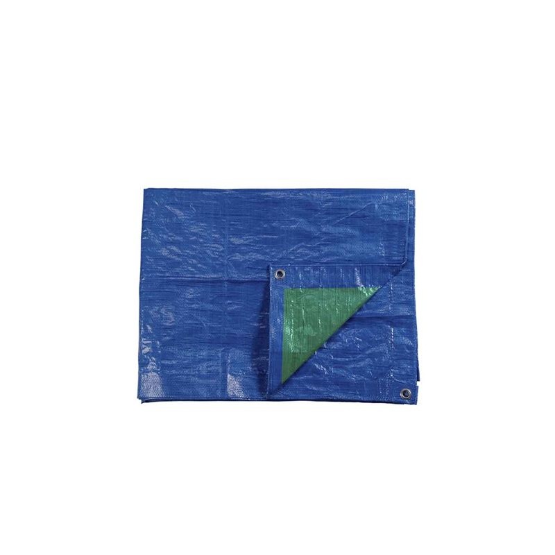 TOLDO 5X8MTS DOBLE CARA AZUL/VERDE...