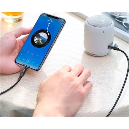 CABLE LIGHTNING - MINI JACK 3.5" NBR155A XO