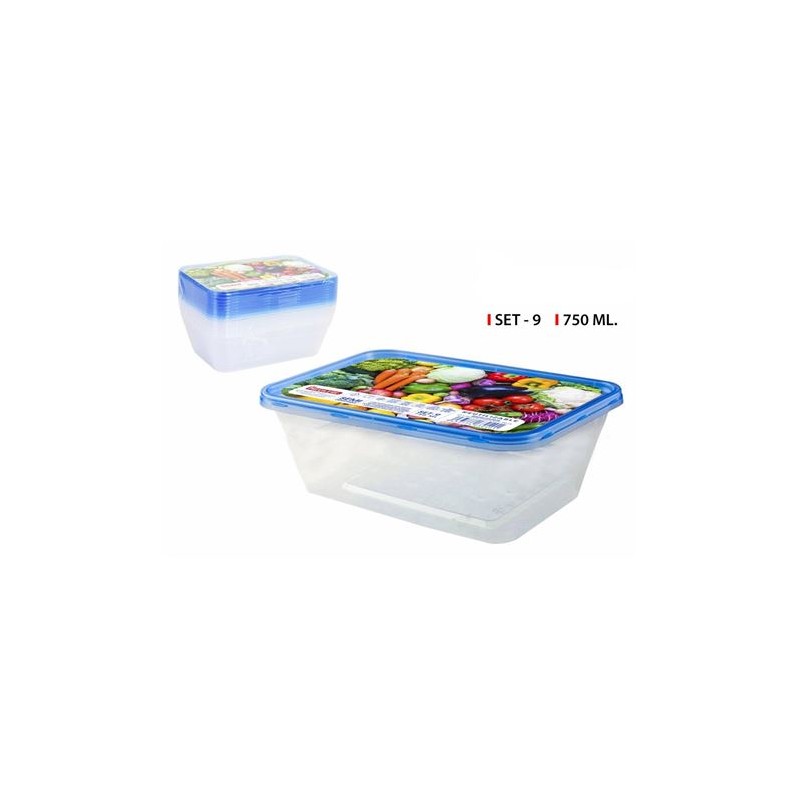 SET 9 TUPPER SEMIDESECHABLES...