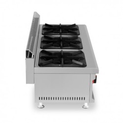 COCINA A GAS PROFESIONAL 3... 2