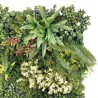 JARDIN VERTICAL 50X50CM SERIE BIONIA SUNGARDEN