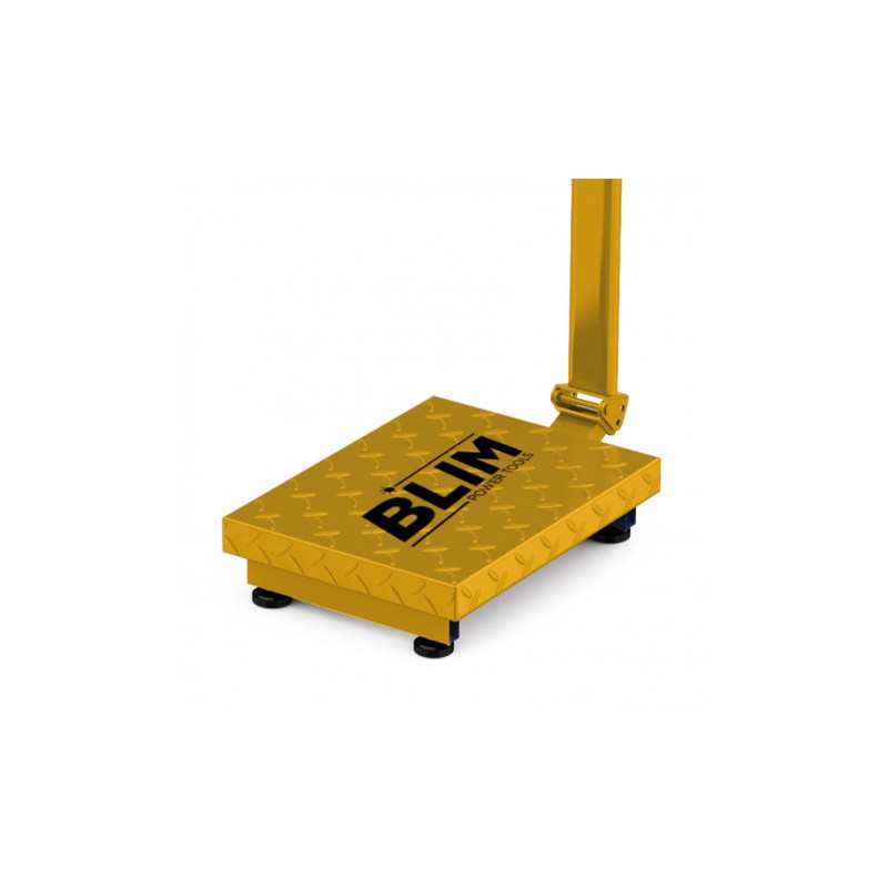 BASCULA INDUSTRIAL CON PLATAFORMA Y...
