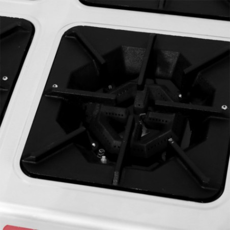 COCINA A GAS PROFESIONAL 4 FUEGOS CHEF PRO