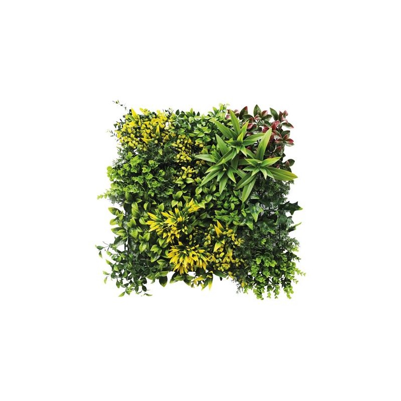 JARDIN VERTICAL 50X50CM SERIE...