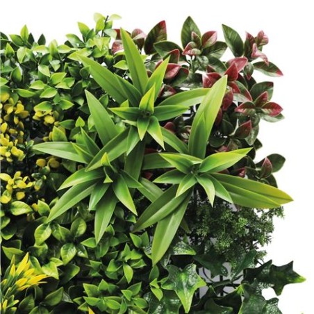 JARDIN VERTICAL 50X50CM SERIE GREENWALL SUNGARDEN