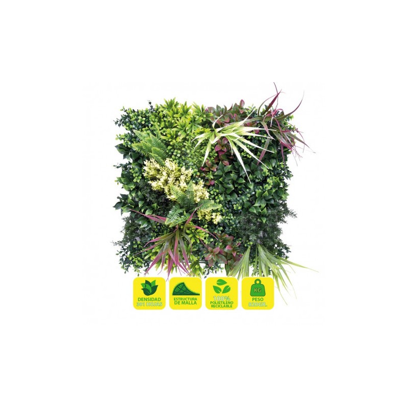 JARDIN VERTICAL 50X50CM SERIE...