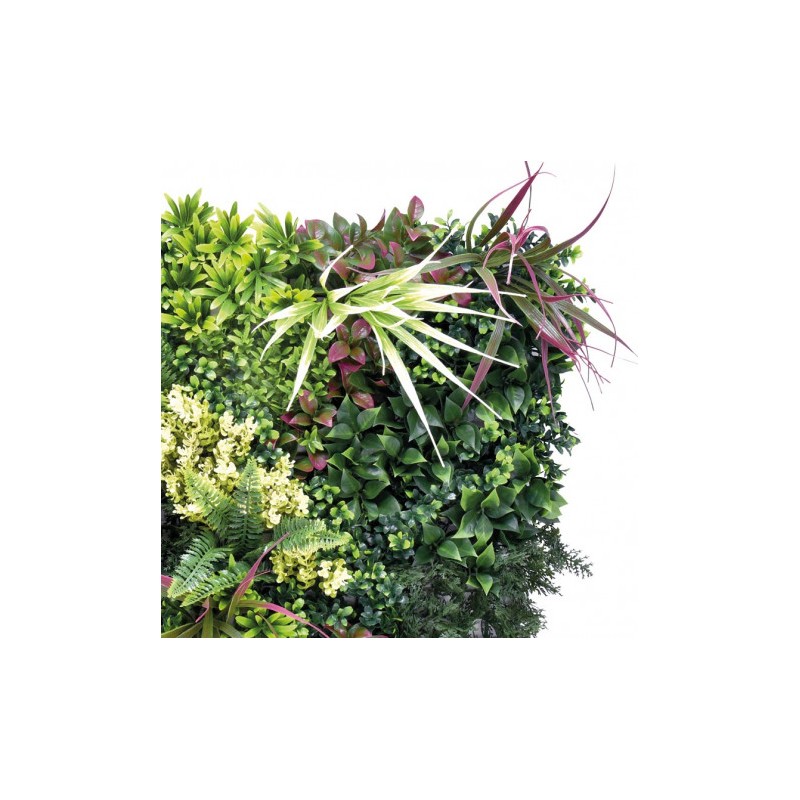 JARDIN VERTICAL 50X50CM SERIE...