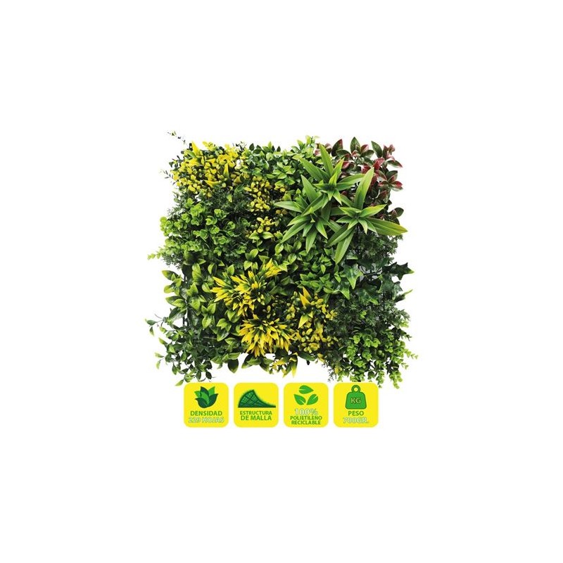 JARDIN VERTICAL 50X50CM SERIE...