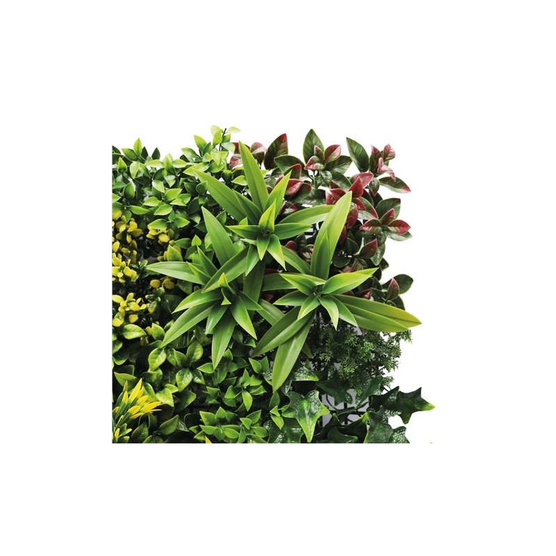 JARDIN VERTICAL 50X50CM SERIE...