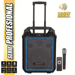 ALTAVOZ AUTOAMPLIFICADO... 2