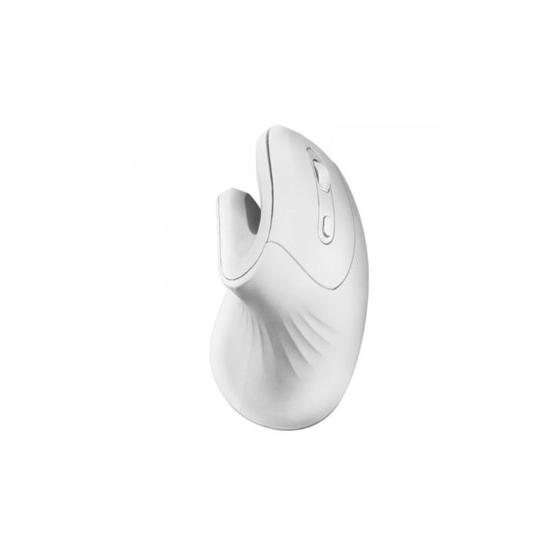 RATON GAMING ERGONOMICO INALAMBRICO...