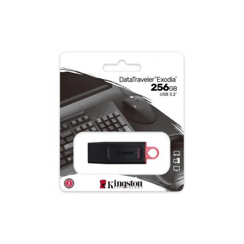 PENDRIVE KINGSTON USB3.2 256GB...