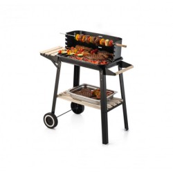 BARBACOA C/RUEDAS... 2